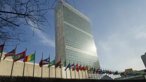 L’ONU : L’affectif en difficulté - Témoignage Cigap.org